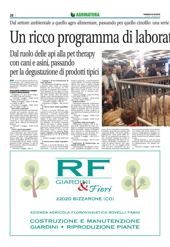 pag 26