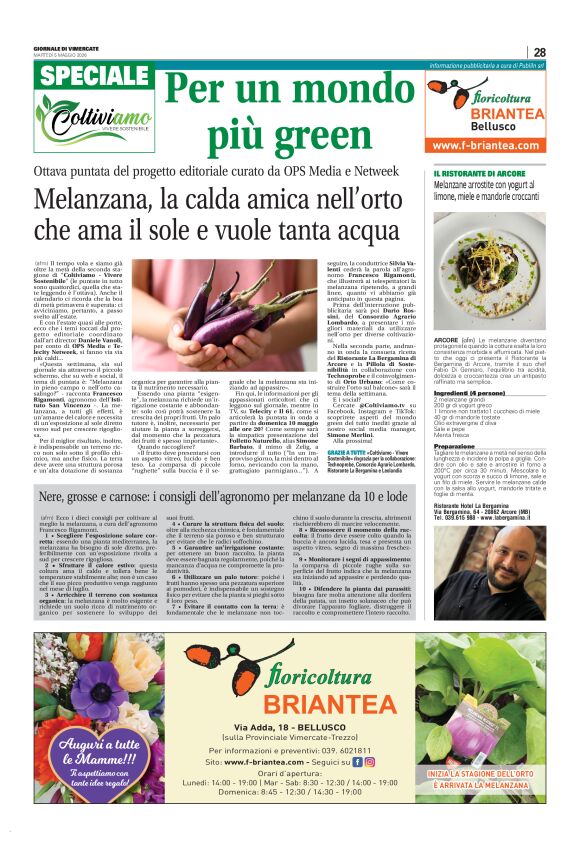 pag 28