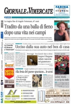 vimercate